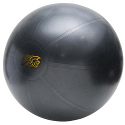 BOLA DE EXERCÍCIOS FIT BALL TRAINING - 55CM