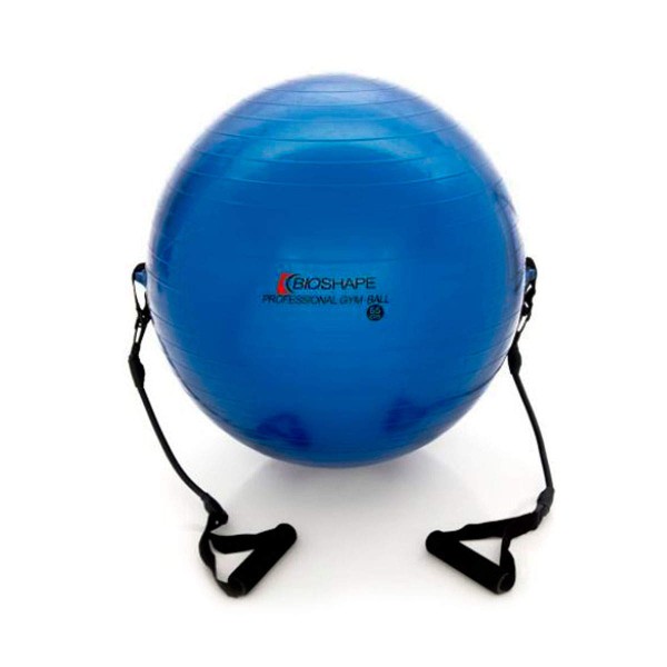 GYM BALL BIOSHAPE COM EXTENSOR E ALÇA - 65CM