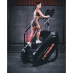 SIMULADOR DE ESCADA PROFISSIONAL PR600