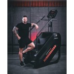 SIMULADOR DE ESCADA PROFISSIONAL PR600