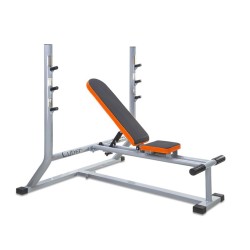 BANCO DE SUPINO REGULÁVEL