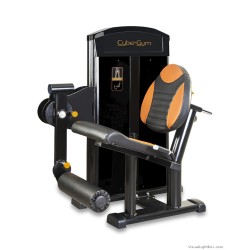 EXTENSORA QUADRÍCEPS